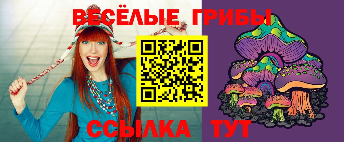 Псилоцибиновые грибы мухоморы  Вход с VPN  Элиста 